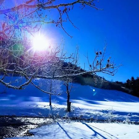 Holiday home Valtin *
