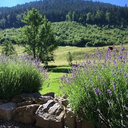 Valtin Holiday home Le Valtin